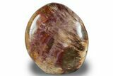 Free-Standing, Polished Petrified Wood - Madagascar #256723-1